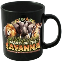 Colour Coat &amp; Full Colour Photo