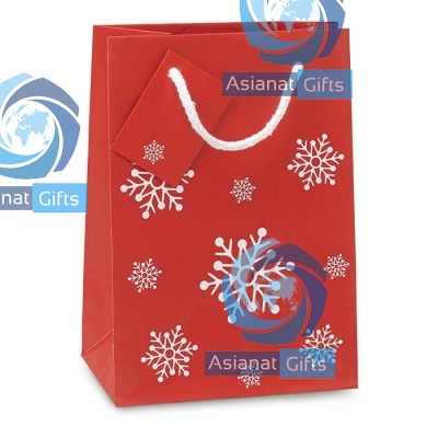 Christmas Gift Bag