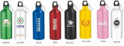 20 Oz. Aluminum Sports Water Bottle w/ Carabiner