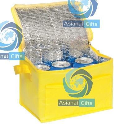 Rainham 6 Can Cooler