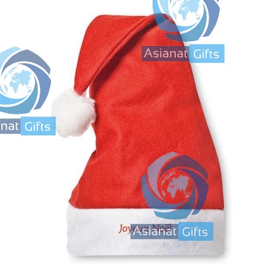 Printed Red Santa Hat